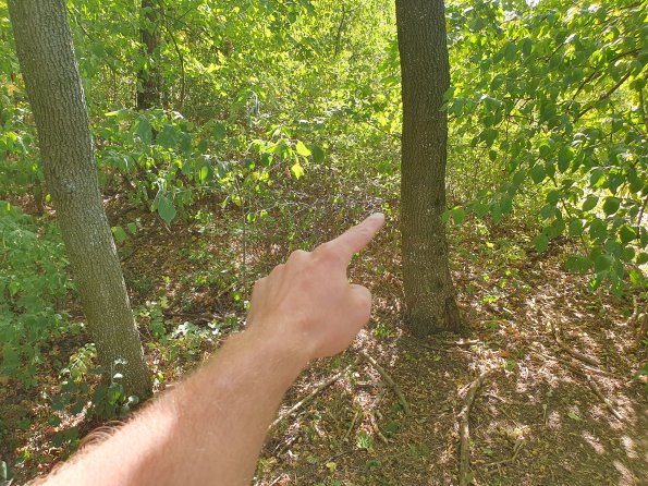 PA_AT_POET_spatialcommentphoto_20211001141513233