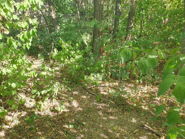 PA_AT_POET_spatialcommentphoto_20211001141549922_1663074591