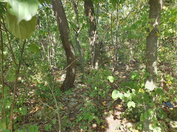 PA_AT_POET_spatialcommentphoto_20211001142111925_1663074589