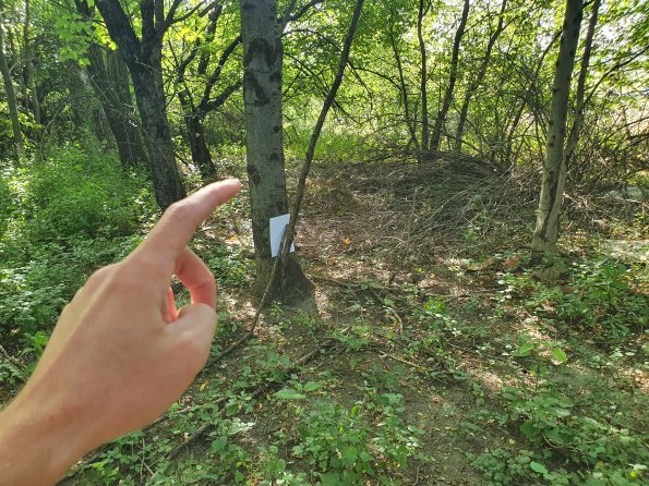 PA_AT_POET_spatialcommentphoto_20211001143958422