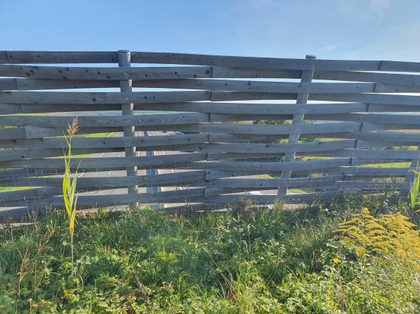 PA_AT_POET_spatialcommentphoto_20211001144238930_1663074584