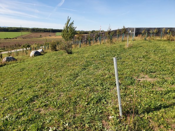 PA_AT_POET_spatialcommentphoto_20211001144345387_1663074592