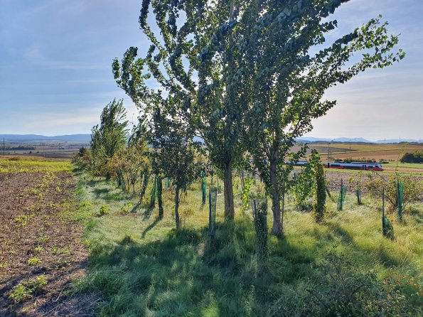 PA_AT_POET_spatialcommentphoto_20211001145015341