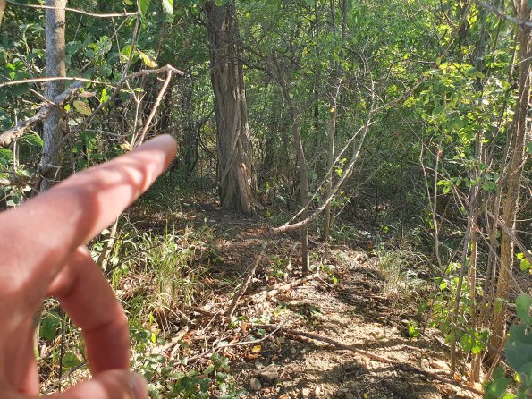 PA_AT_POET_spatialcommentphoto_20211001151240148