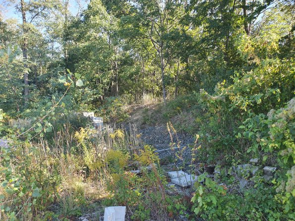 PA_AT_POET_spatialcommentphoto_20211001151423102_1663074642