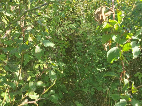 PA_AT_POET_spatialcommentphoto_20211001151743260_1663074638