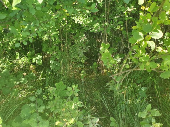 PA_AT_POET_spatialcommentphoto_20211001152058168_1663074638