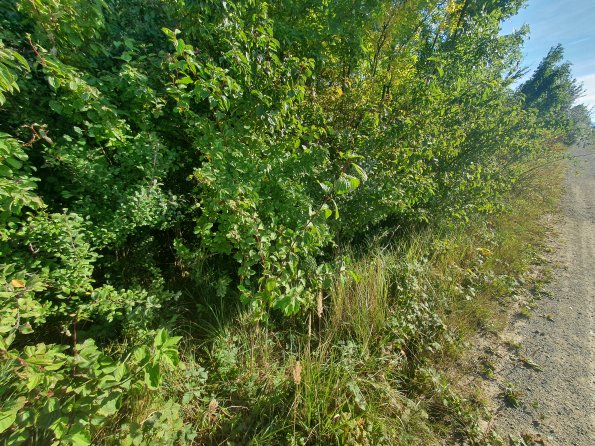 PA_AT_POET_spatialcommentphoto_20211001152112958_1663074643