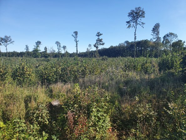 PA_AT_POET_spatialcommentphoto_20211001152326842_1663074641