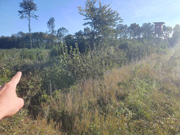 PA_AT_POET_spatialcommentphoto_20211001152345131_1663074640