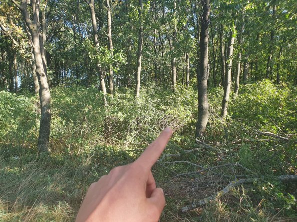 PA_AT_POET_spatialcommentphoto_20211001153231724_1663074641