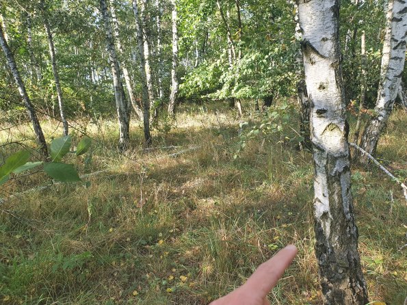 PA_AT_POET_spatialcommentphoto_20211001154131124_1663074642