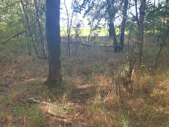 PA_AT_POET_spatialcommentphoto_20211001154212389_1663074640