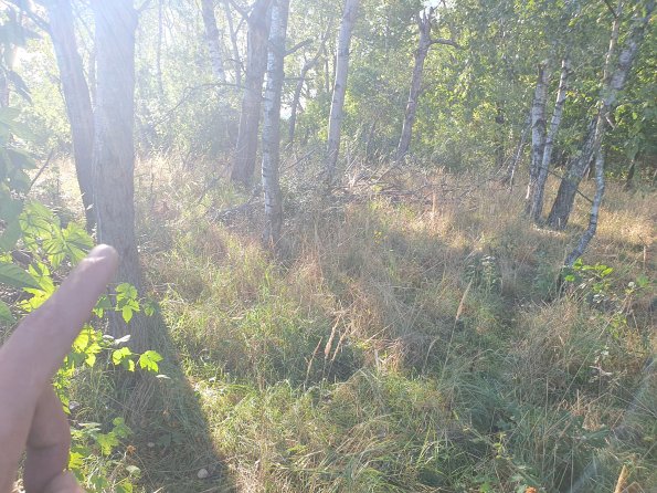 PA_AT_POET_spatialcommentphoto_20211001154826137_1663074639