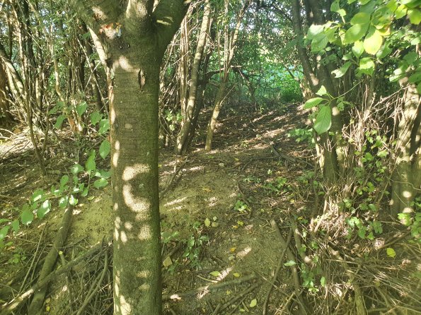 PA_AT_POET_spatialcommentphoto_20211001161332171_1663074639