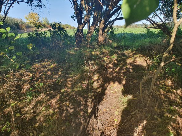 PA_AT_POET_spatialcommentphoto_20211001161446574