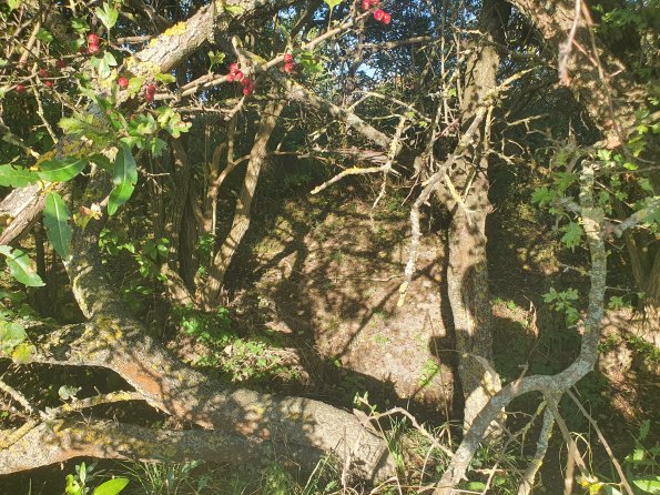 PA_AT_POET_spatialcommentphoto_20211001161717768_1663074640