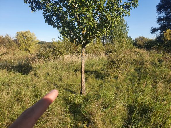 PA_AT_POET_spatialcommentphoto_20211001162032281