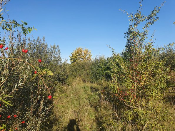 PA_AT_POET_spatialcommentphoto_20211001162404089