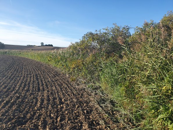 PA_AT_POET_spatialcommentphoto_20211001165618526_1663074641