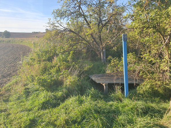 PA_AT_POET_spatialcommentphoto_20211001165651296_1663074642