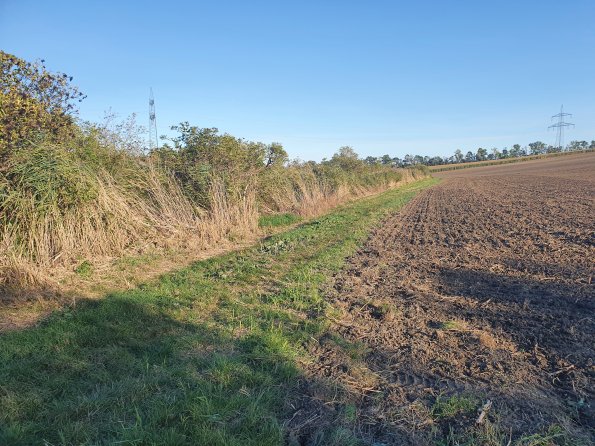 PA_AT_POET_spatialcommentphoto_20211001165739013_1663074641