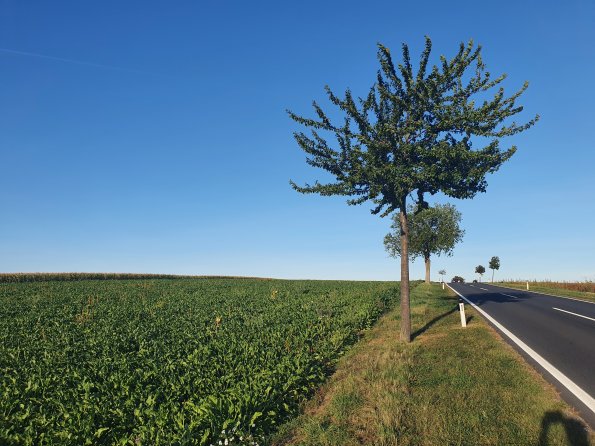 PA_AT_POET_spatialcommentphoto_20211001172013914