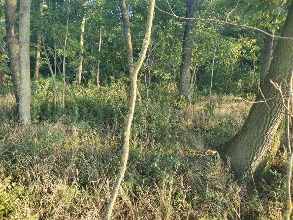 PA_AT_POET_spatialcommentphoto_20211001173407486_1663074641