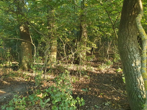 PA_AT_POET_spatialcommentphoto_20211001173607614_1663074639