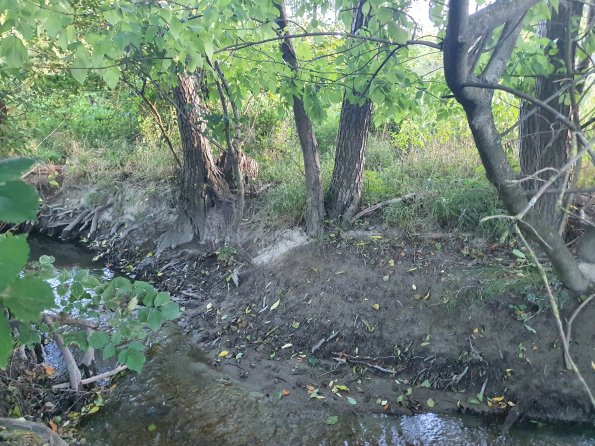 PA_AT_POET_spatialcommentphoto_20211001175622007_1663074644