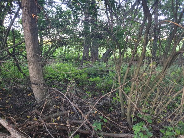 PA_AT_POET_spatialcommentphoto_20211001180919407_1663074645