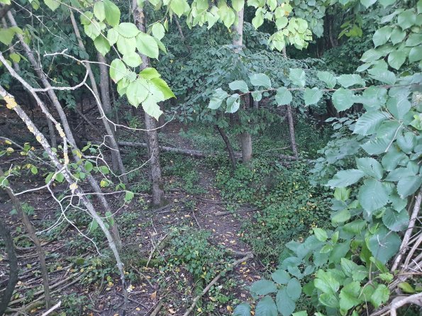 PA_AT_POET_spatialcommentphoto_20211001181809681_1663074645