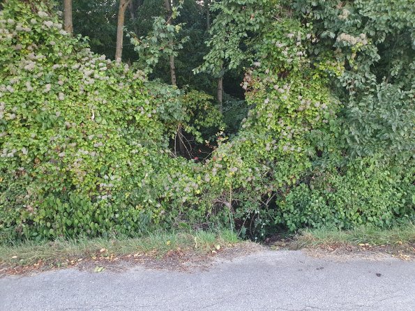 PA_AT_POET_spatialcommentphoto_20211001181829434_1663074647