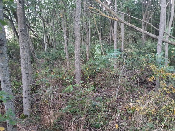 PA_AT_POET_spatialcommentphoto_20211001182809623