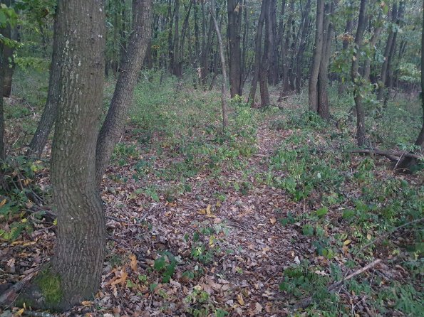 PA_AT_POET_spatialcommentphoto_20211001182950354