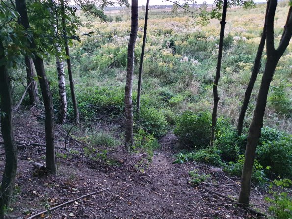 PA_AT_POET_spatialcommentphoto_20211001183722166_1663074646