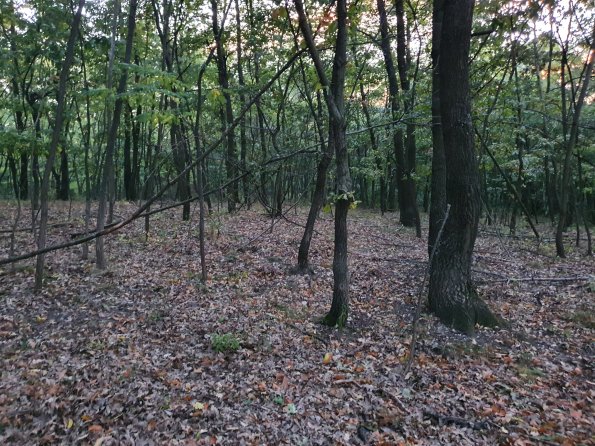 PA_AT_POET_spatialcommentphoto_20211001183827439