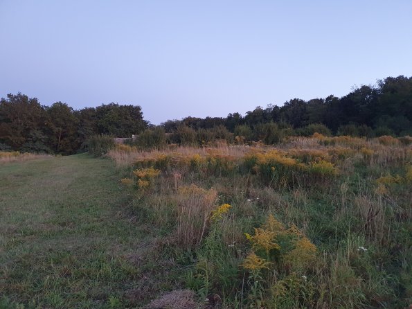 PA_AT_POET_spatialcommentphoto_20211001184923224_1663074646