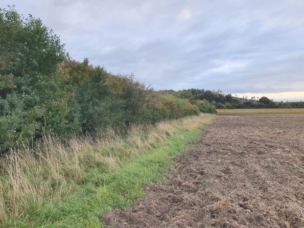 PA_AT_POET_spatialcommentphoto_20211014173746924_1663074647