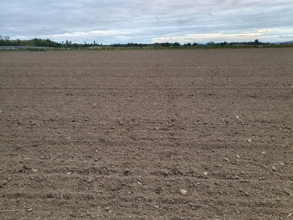 PA_AT_POET_spatialcommentphoto_20211014180117023