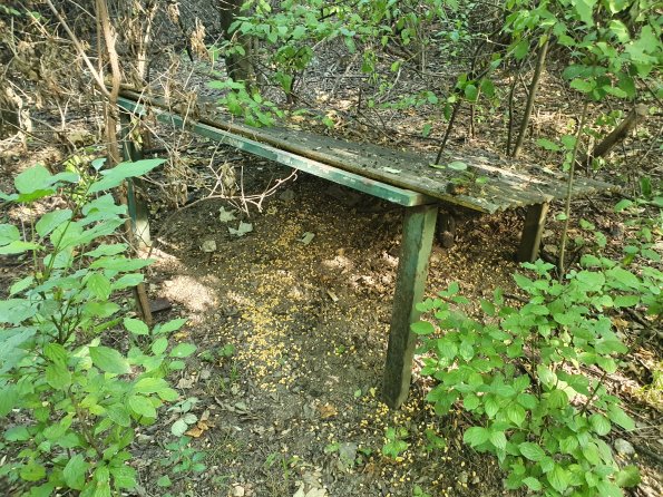 PA_AT_POET_spatialcommentphoto_20220729085438926