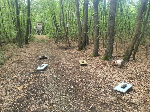 PA_AT_POET_spatialcommentphoto_20220823185512403