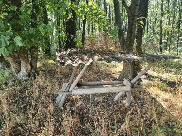 PA_AT_POET_spatialcommentphoto_20220824151252417