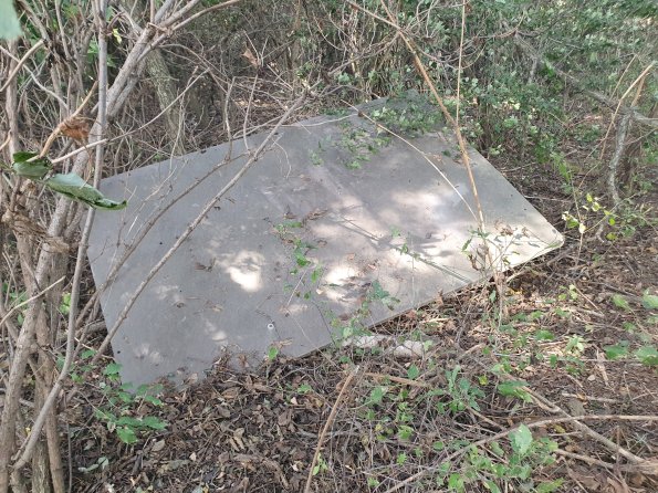 PA_AT_POET_spatialcommentphoto_20220824161145532