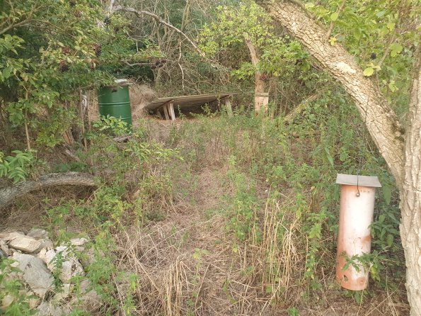 PA_AT_POET_spatialcommentphoto_20220824192000160