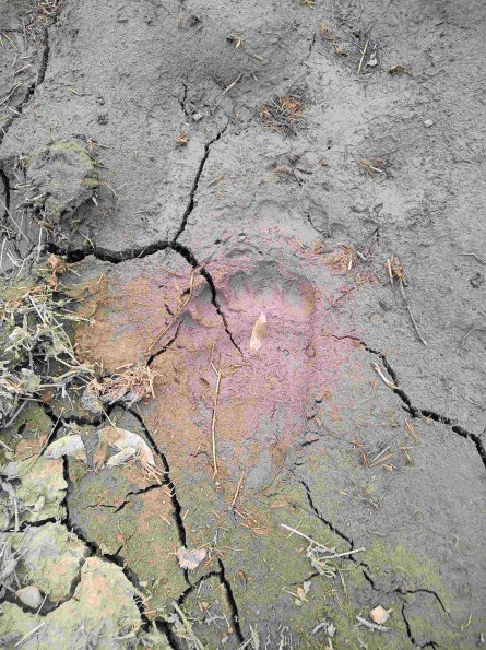 PA_RO_TM_abovefootprintphoto_20220330101005895