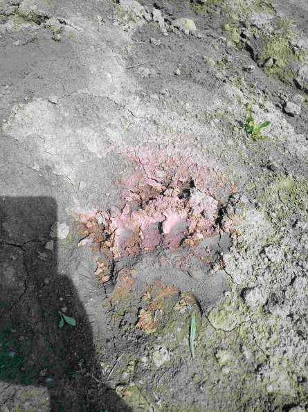 PA_RO_TM_abovefootprintphoto_20220427114745845