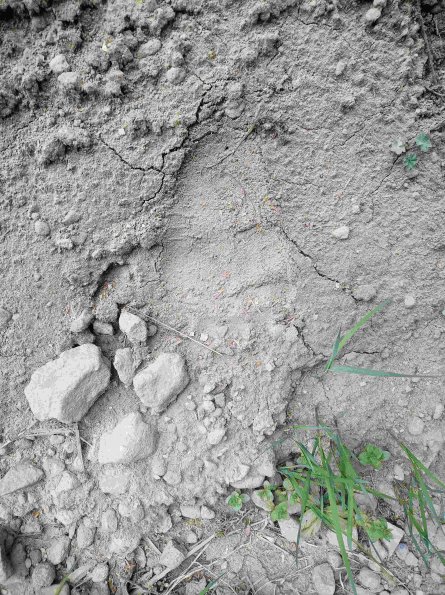 PA_RO_TM_abovefootprintphoto_20220525131446862