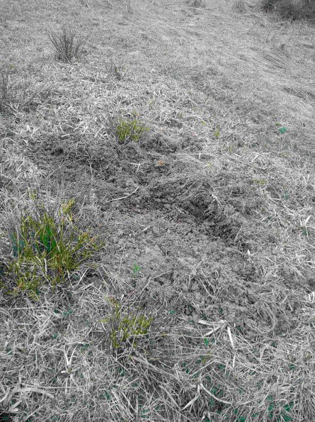 PA_RO_TM_otheractivitysignphoto_20220331124417732