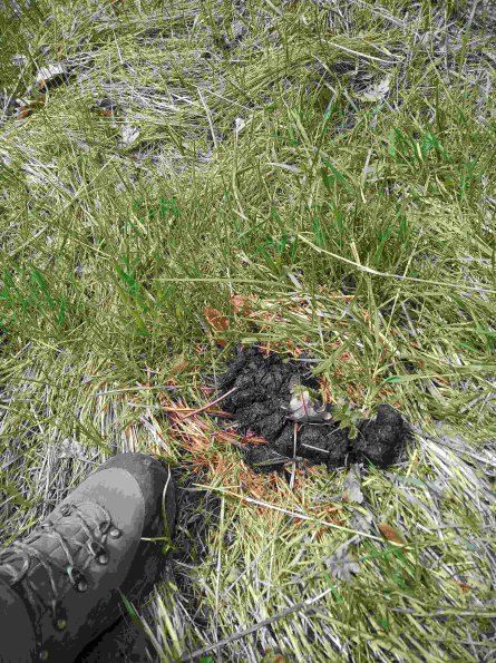 PA_RO_TM_otheractivitysignphoto_20220427122402090